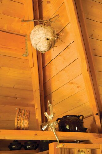 In Quietude: A Simple, Healing Mountain Cottage